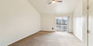 Native Sun Gallery 9