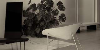 Asteras Kings Gallery 9