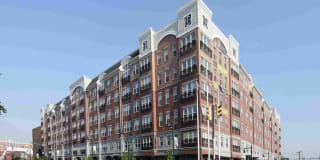 The Allure Mineola Gallery 4