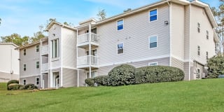 Elliot Roswell Gallery 50