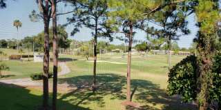 3755 Via Poinciana Gallery 2