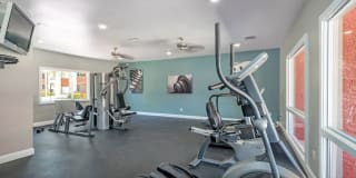 Spring Meadow Gallery 12