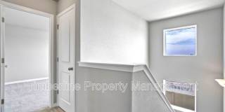 7824 Woodmen Center Heights Gallery 19