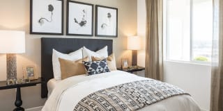 Apex Laguna Niguel Gallery 7