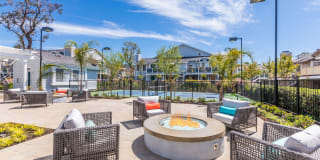 The Highlands Gallery 31