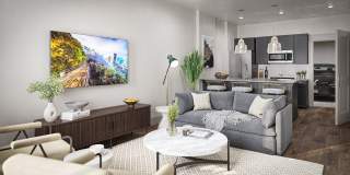 Allier Heartwood Gallery 17