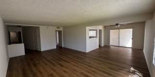 475 E Cypress Ave. Gallery 7