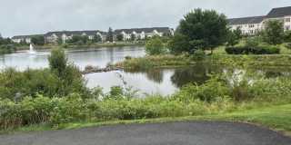 25128 DEERHURST Terrace Gallery 33