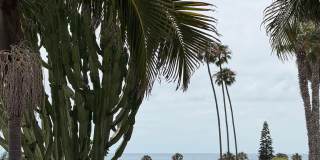 4612 Bermuda Avenue Gallery 14