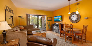 28859 Desert Princess Drive Gallery 9
