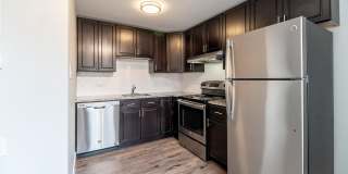 South Forest Gallery 1