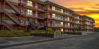 Katie Court Apartments Gallery 23