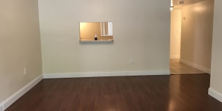 701 North Pine Island Rd #202 Gallery 21