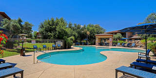 Santana Ridge Gallery 21