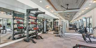 The Hayden Gallery 2