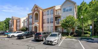 Charming 3BD/2BA in Island Creek Gallery 3
