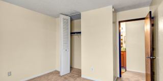 Conifer Grove Gallery 13