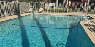 310 Forest Hills Drive Gallery 3