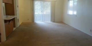 4110he Gallery 3