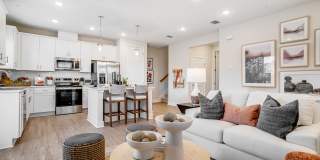 Yardly Eden Gallery 12