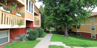 Raintree Apartments Gallery 10