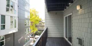 Flora Flats Gallery 10
