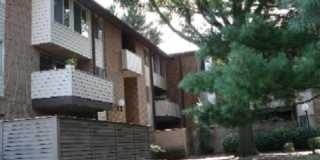 19419 BRASSIE Place unit: 301 Gallery 1