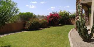 3638 N Sonoran Hills Gallery 7