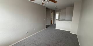 Beautiful Home for Rent in Avondale! **NEW CARPET** Beautiful Home for Rent in Avondale! **NEW CARPET** Gallery 10