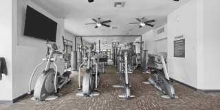 98Hundred Gallery 23