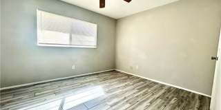 2262 Stella Street Gallery 4