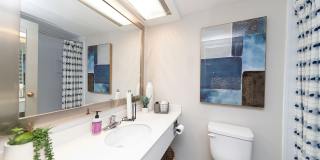 Passenger Flats Gallery 21