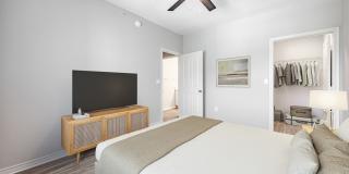 Lirio Gallery 7