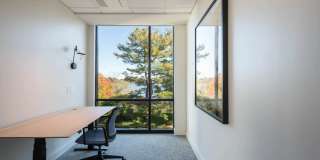 The Basin Gallery 77