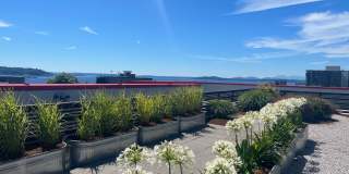 Queen Anne Flats Gallery 19