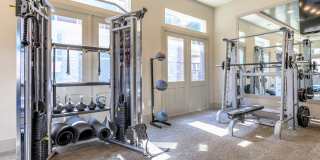 Ryze at Sunfield Gallery 11