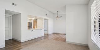 Hensley at Corona Pointe Gallery 13