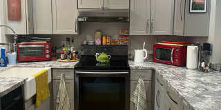 Updated Townhouse backed by National Forest Gallery 5