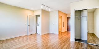 Windsor at Dogpatch Gallery 9