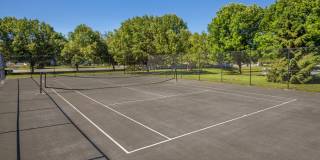 Linden Square Gallery 65