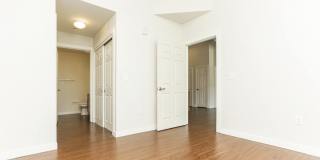 East Meadows Gallery 12