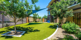 Camden Tempe Gallery 73
