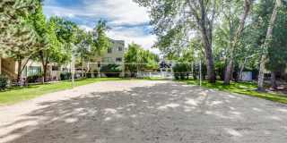 Reedhouse Gallery 12