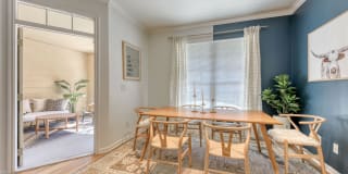 San Miguel Gallery 8