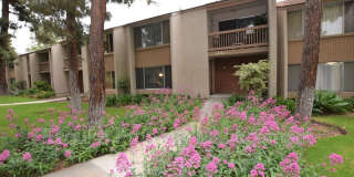 1127 IBEX SQUARE Gallery 1