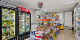 Remi Gallery 32