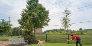 Mira Upper Rock Gallery 39