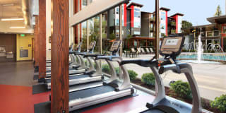 Avalon Alderwood Gallery 25