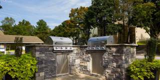 Beech's Farm Gallery 22