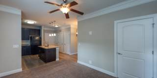 Red Knot at Edinburgh Gallery 7